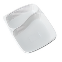2 CP Meal Tray with Lid